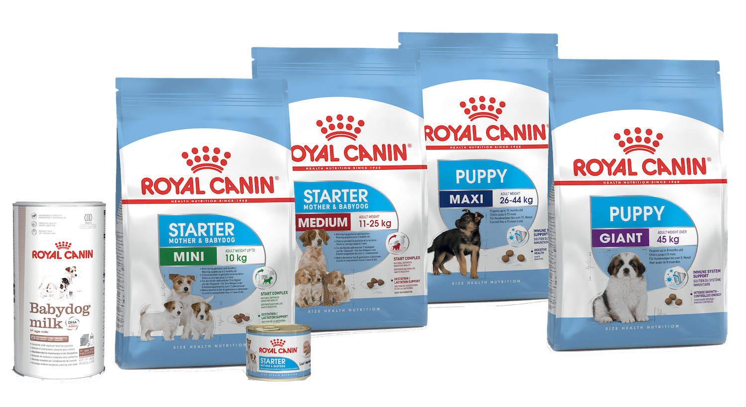 royal canin 
