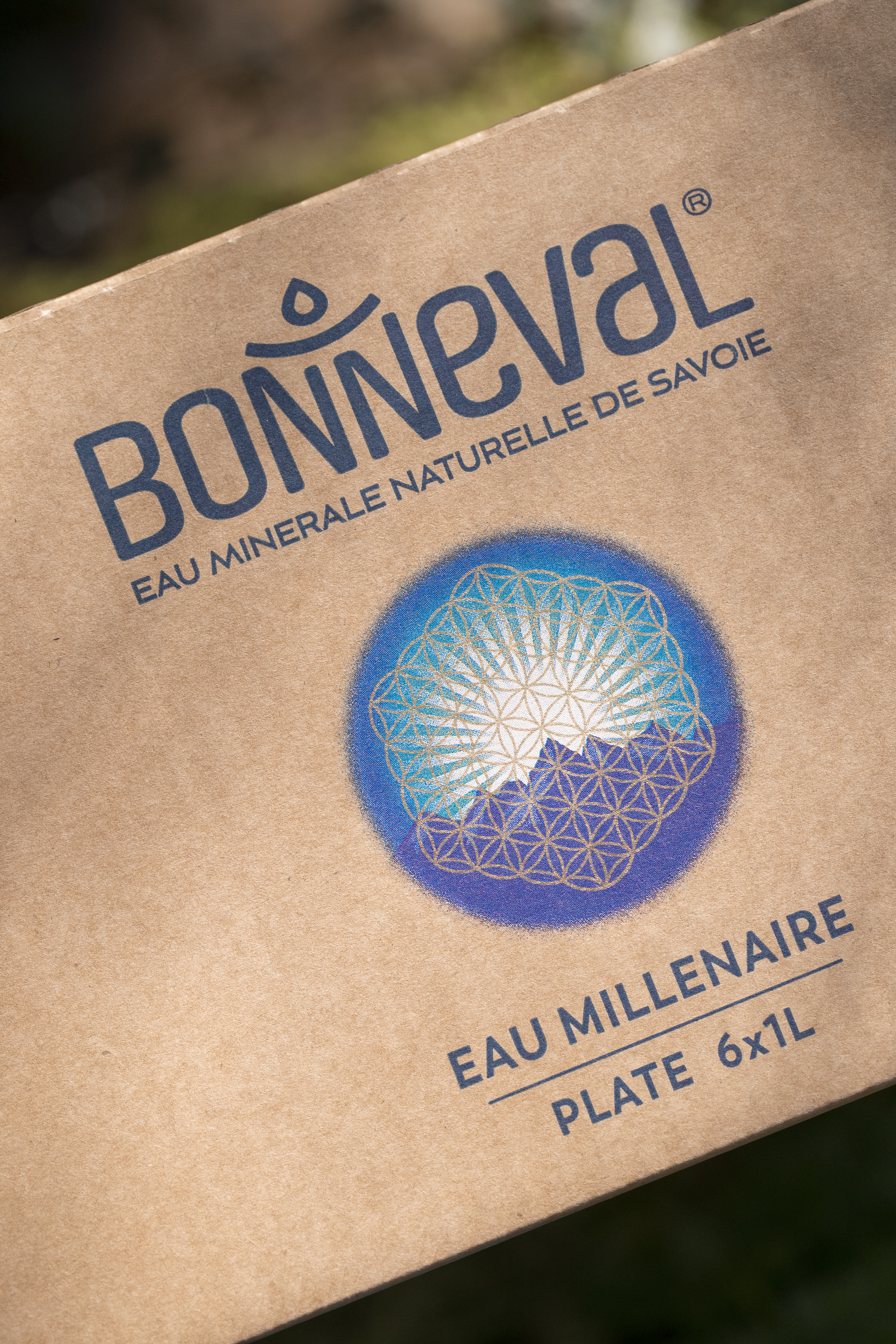 Logo carton Bonneval