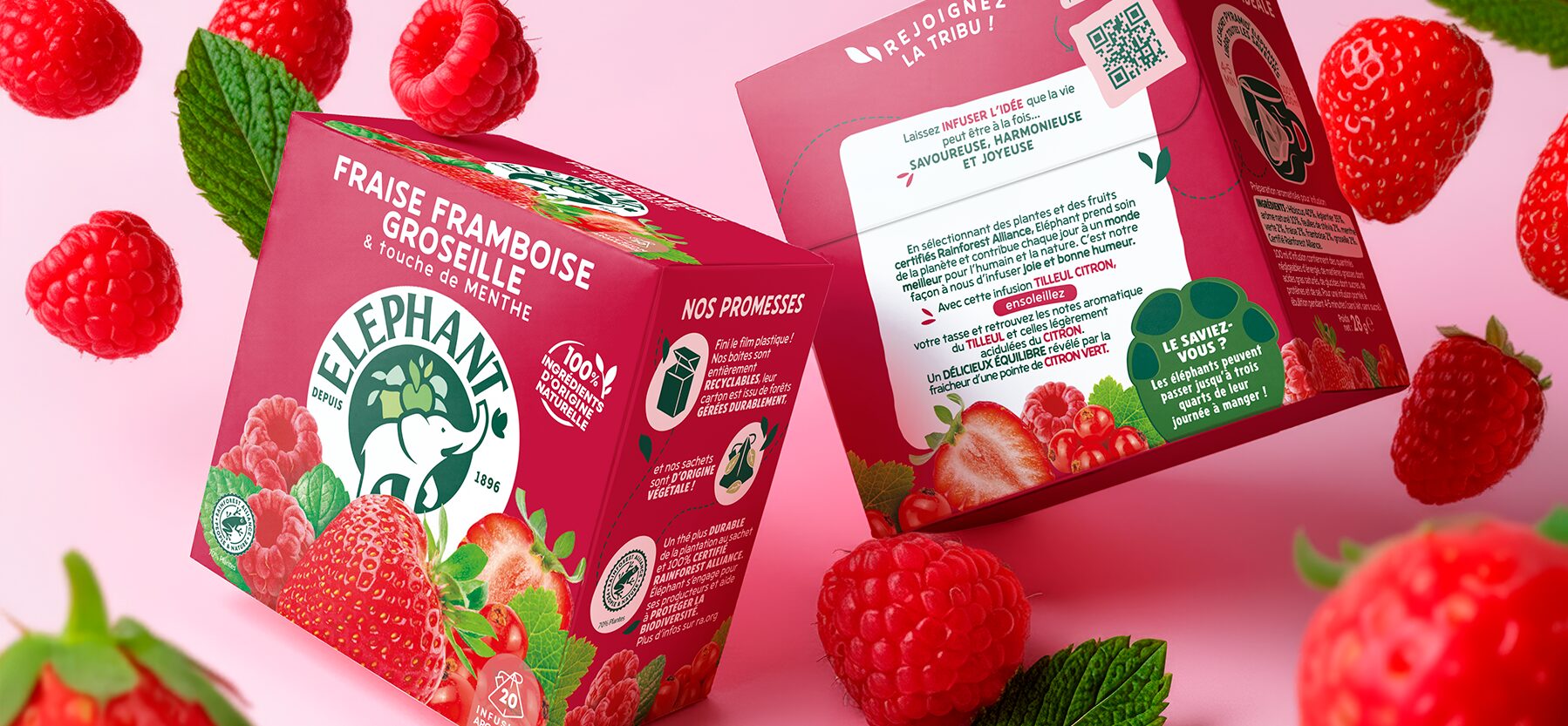 Éléphant Strawberry Raspberry Redcurrant infusion box, front and back, surrounded by red berries