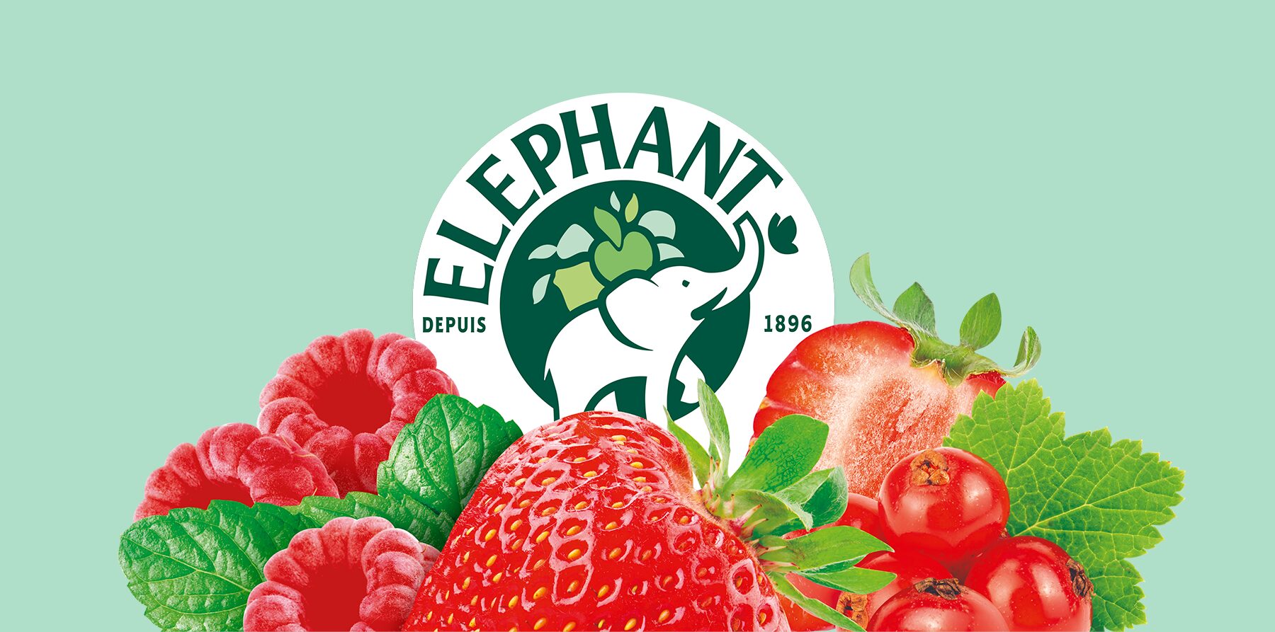 Éléphant 'since 1896' logo with strawberry, raspberries, redcurrants and mint