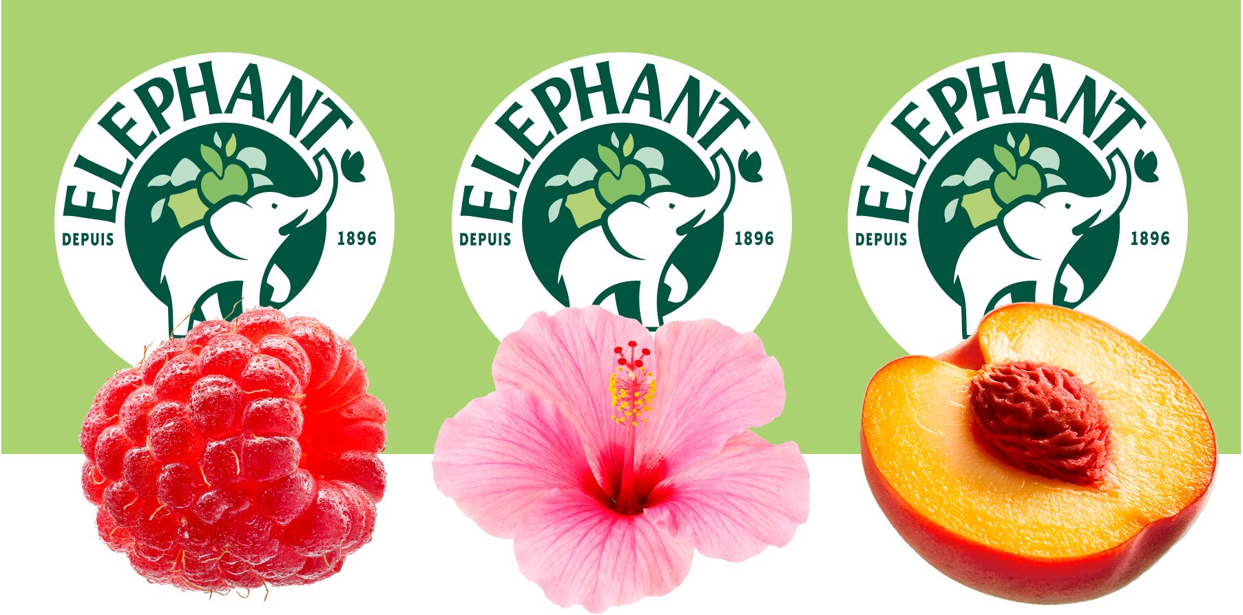 Three Éléphant logos above a raspberry, a hibiscus flower and a peach