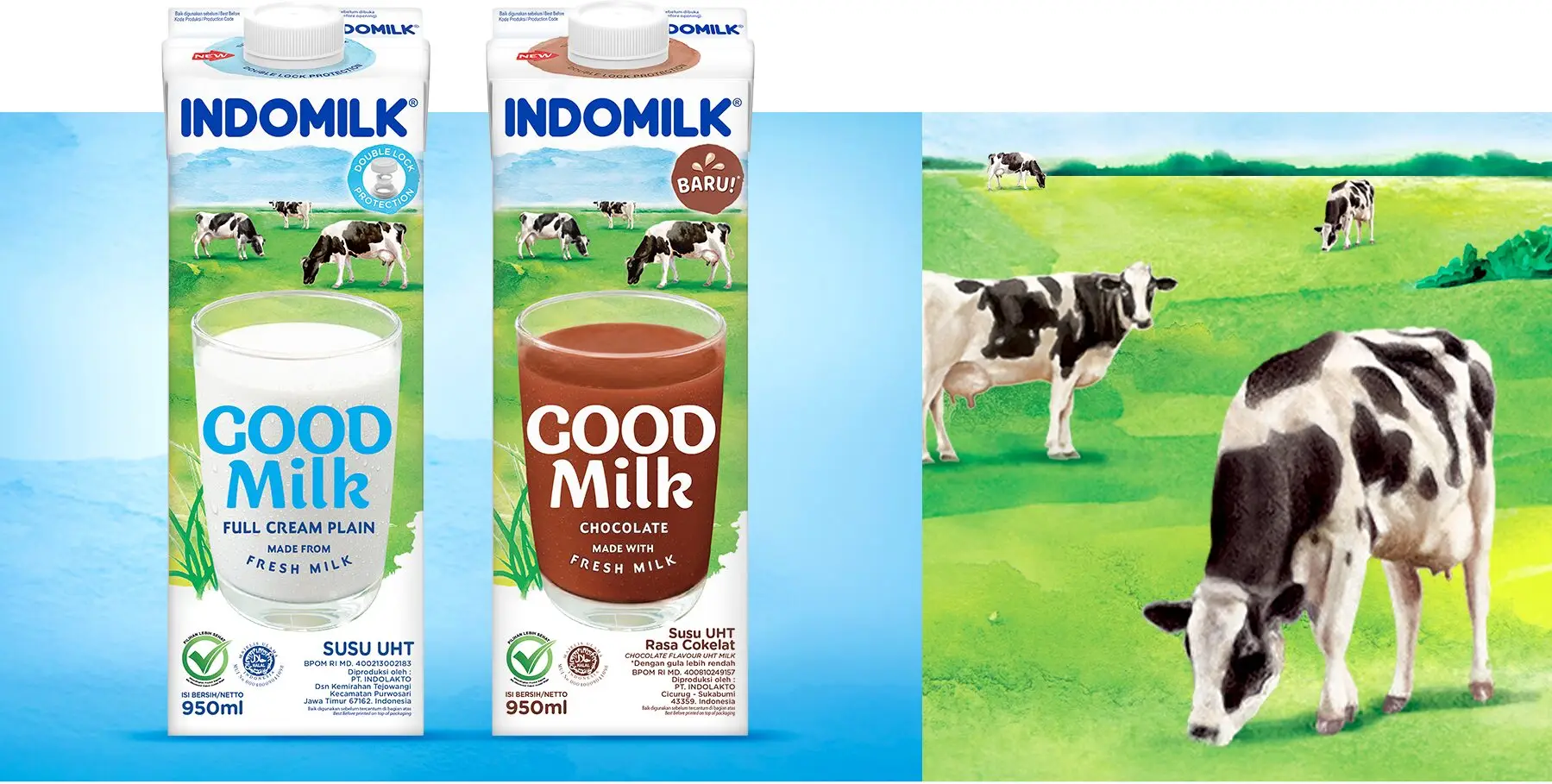 Indomilk Good Milk plain and chocolate cartons, illustration of grazing cows