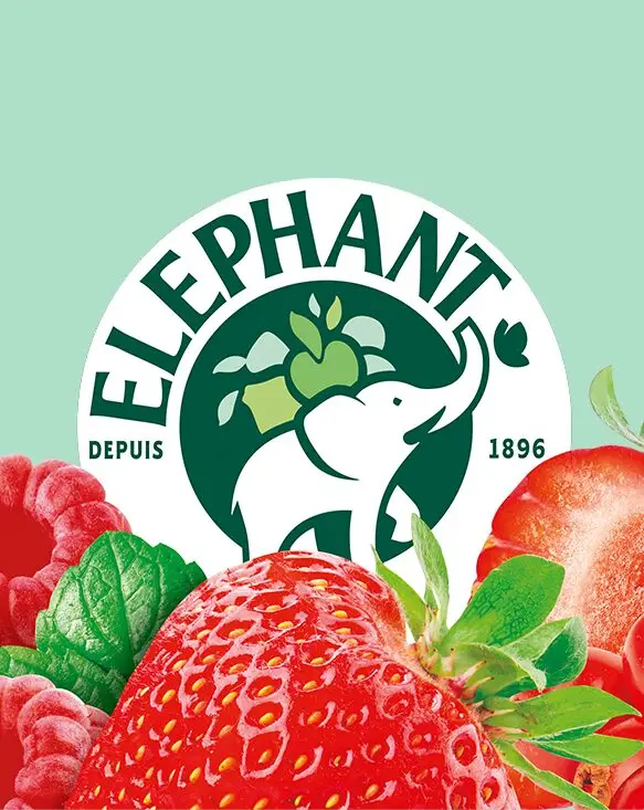 Éléphant 'since 1896' logo surrounded by strawberry, raspberries and mint